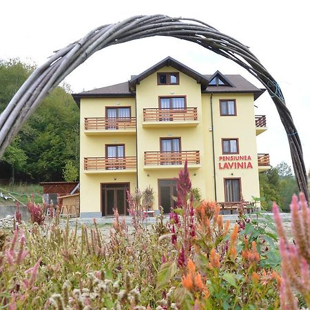 Pensiunea Lavinia Calvini エクステリア 写真